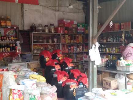 �����̾Ƶ�ת��[�»���]