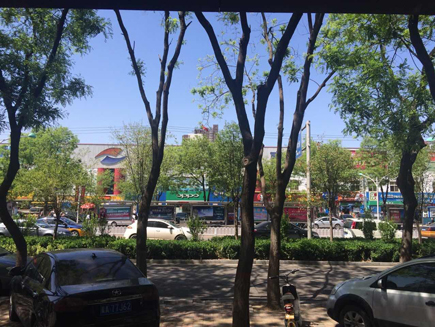 ˼׷ת[]