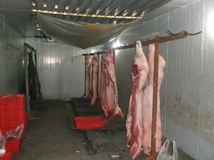 �������ת��[�Ŷ���]