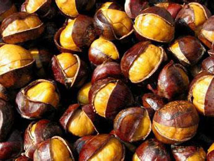 �ǳ�����ר��ת��