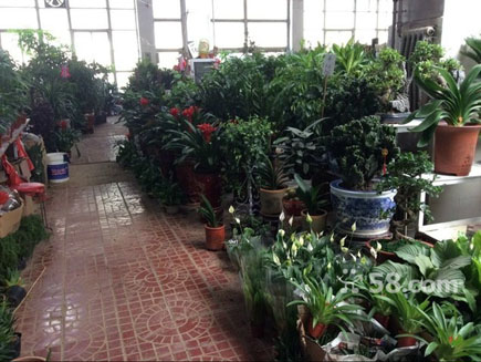 ���ܵ���ת��[ԣ����]